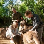 Byron Bay Wildlife Sanctuary Entry Ticket - Analyzing the Value: Price and Experience