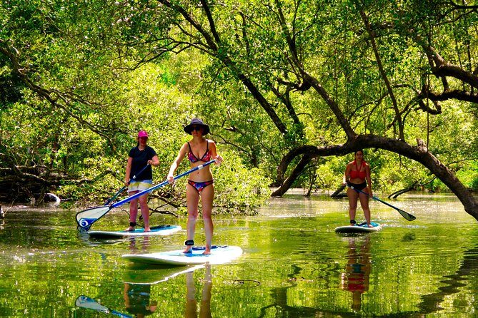 Byron Stand Up Paddle Nature Tour - Pricing and Value