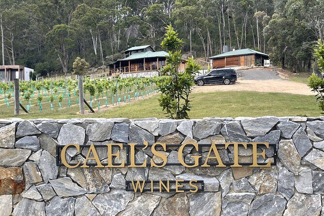 Cael's Gate Wine and Ploughmans Lunch in Hunter Valley - The Wine Tasting Experience