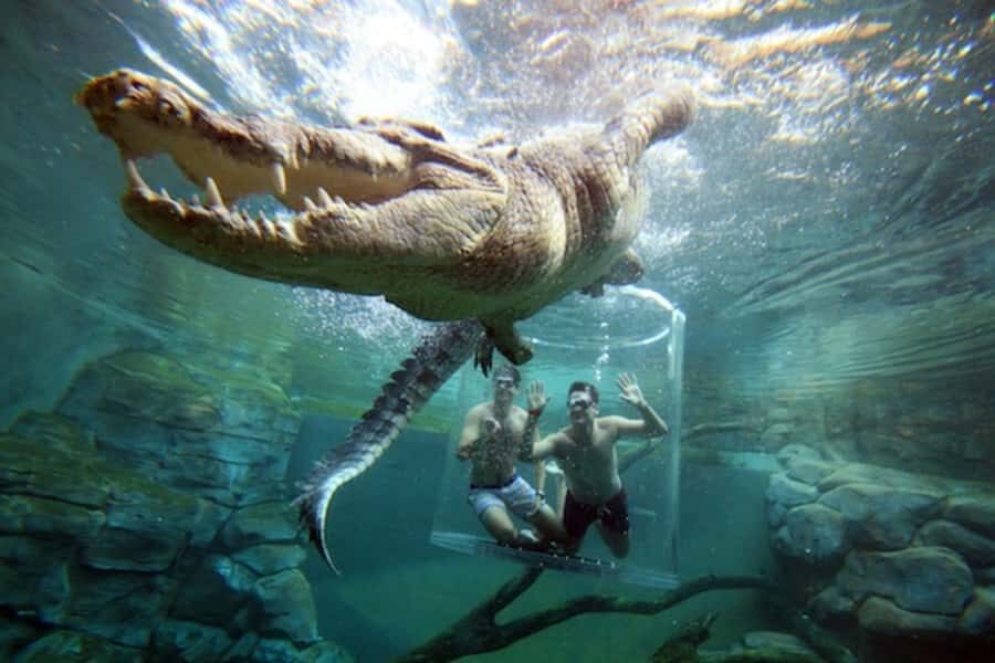 "Cage Of Death" Crocodile Swim and Entry to Crocosaurus Cove - FAQ