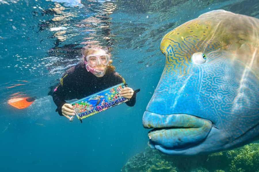 Cairns: 2-Day Barrier Reef Pontoon & Fitzroy Island Tour - Detailed Review of the Cairns 2-Day Tour