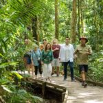 Cairns: 2-Day Great Barrier Reef & Daintree Rainforest Tour - The Value and Practical Aspects