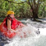 Cairns Adventure Package- 4 tours in 3 days! - What Do Travelers Say? Authentic Insights