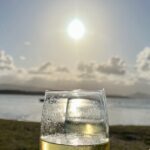 Cairns Airport to Port Douglas Shared Shuttle - A Practical Guide to the Cairns Airport to Port Douglas Shuttle