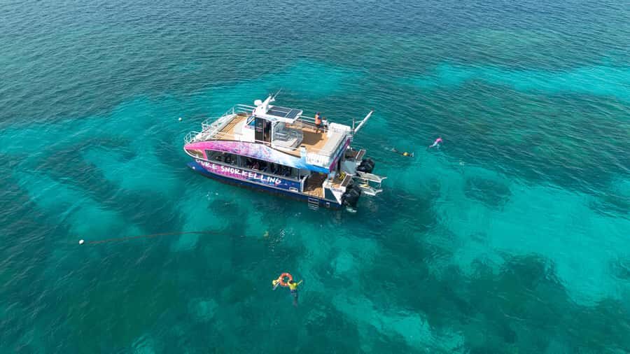 Cairns: All-Inclusive Great Barrier Reef Half-Day Snorkeling - The Itinerary and What to Expect