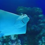 Cairns: Aquarium and Tomb of the Pharaohs Entry Ticket - Final Thoughts: Who Should Consider This Experience?