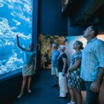 Cairns Aquarium by Twilight Tour - The Experience in Detail: A Closer Look at the Itinerary