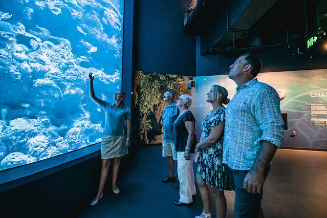 Cairns Aquarium by Twilight Tour - The Experience in Detail: A Closer Look at the Itinerary