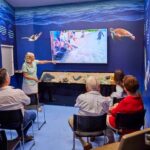 Cairns: Aquarium Entry Ticket and Turtle Rehabilitation Tour - Practical Considerations