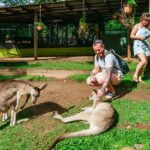 Cairns: Best of the Kuranda Rainforest Full-Day Tour & Lunch - Transportation and Logistics