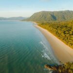 Cairns: Cape Tribulation, Mossman Gorge & Daintree Day Tour - What to Expect from This Tour