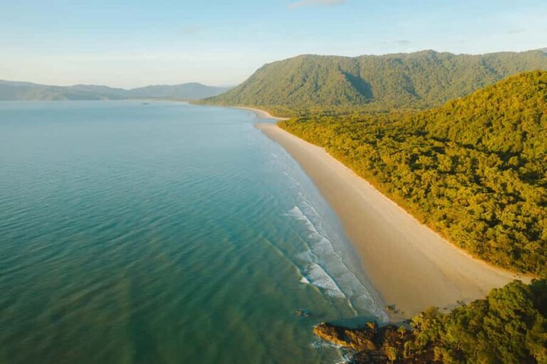 Cairns: Cape Tribulation, Mossman Gorge & Daintree Day Tour - What to Expect from This Tour
