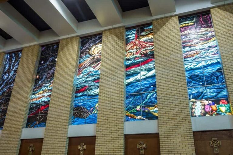 Cairns City: Cairns Koala & Creatures + City Sights Tour - A Detailed Look at the Tour