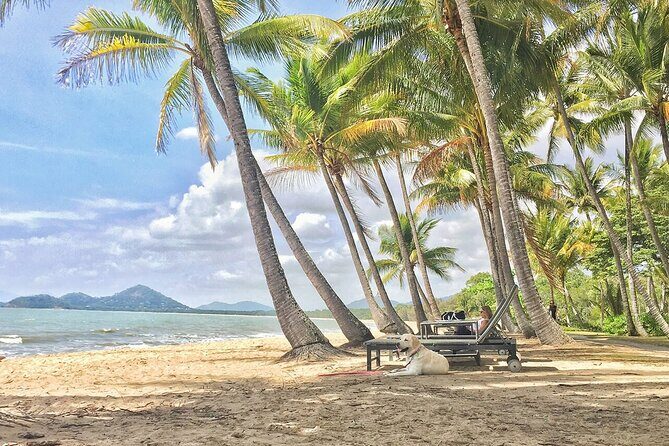 Cairns City Half Day Tour - The Sum Up: Is This Tour for You?