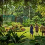 Cairns: City Sights Tour with Evening Dinner Cruise - What Makes This Tour Value-Added