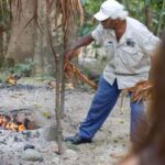 Cairns: Daintree Rainforest and Mossman Gorge Tour - The Experience of the Guides