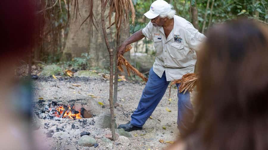 Cairns: Daintree Rainforest and Mossman Gorge Tour - The Experience of the Guides