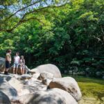 Cairns: Daintree Rainforest & Cape Tribulation Day Trip - What Makes This Tour Stand Out?