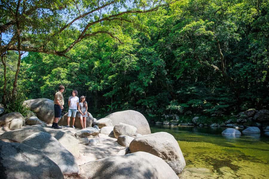 Cairns: Daintree Rainforest & Cape Tribulation Day Trip - What Makes This Tour Stand Out?