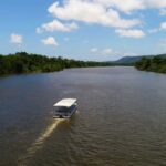 Cairns: Daintree Rainforest Wildlife Experience Cruise - Who Will Love This Tour?