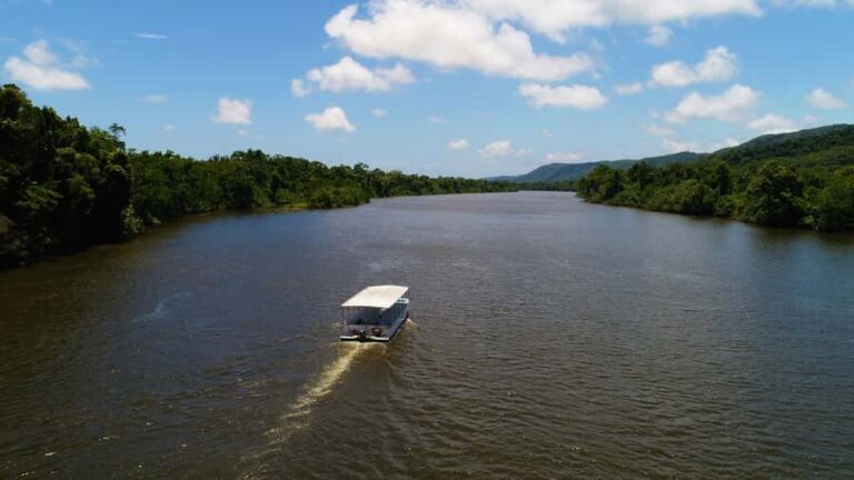 Cairns: Daintree Rainforest Wildlife Experience Cruise - Who Will Love This Tour?