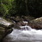 Cairns Day Tour Private Waterfall - Who Should Consider This Tour?