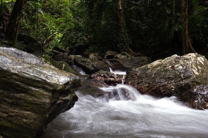 Cairns Day Tour Private Waterfall - Who Should Consider This Tour?