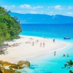 Cairns: Fitzroy Island Ferry with Optional Lunch & Activity - Analyzing the Value