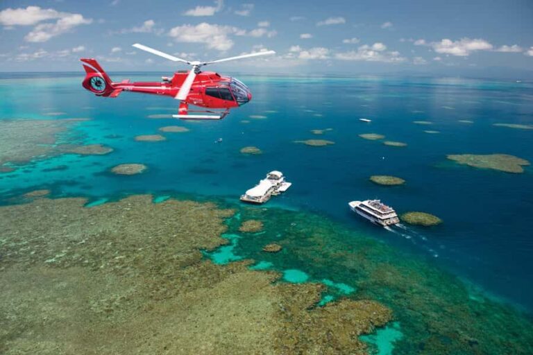 Cairns: Great Barrier Reef Cruise & 10 Minute Helicopter - What’s Included and What’s Not