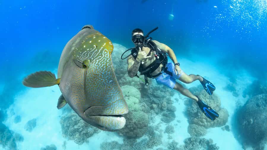 Cairns: Great Barrier Reef Cruise & Scenic Helicopter Flight - The Itinerary: What You’ll Experience