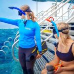 Cairns: Great Barrier Reef Pontoon - Indulgence Package - Key Points