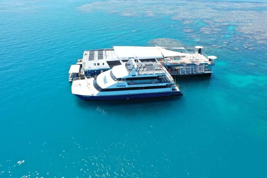 Cairns: Great Barrier Reef Pontoon with Water Activities - The Value of This Reef Experience