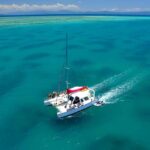 Cairns: Great Barrier Reef Snorkeling Tour with Lunch - Itinerary Breakdown: What to Expect