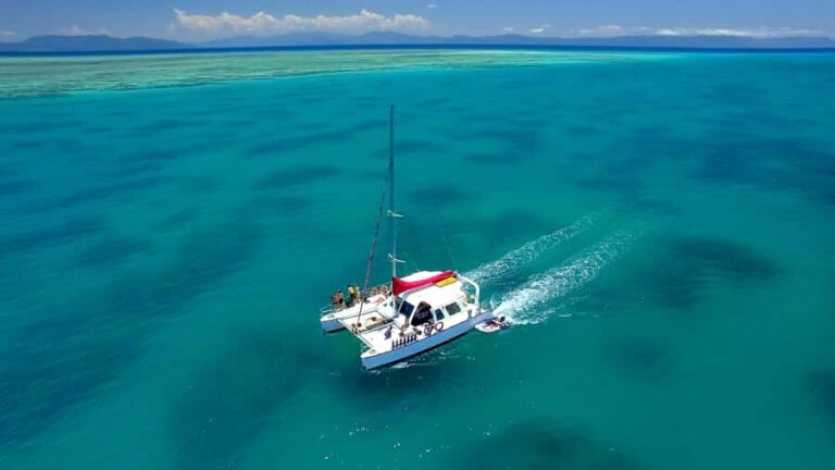 Cairns: Great Barrier Reef Snorkeling Tour with Lunch - Itinerary Breakdown: What to Expect