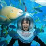 Cairns: Green Island and Seawalker Helmet Dive Combo - How the Tour Fits into Your Cairns Trip