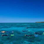 Cairns: Green Island Full-Day Tour with Diving - A Day in the Life: What to Expect