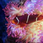 Cairns: Guided Twilight Tour of the Aquarium - What to Expect from Your Twilight Tour