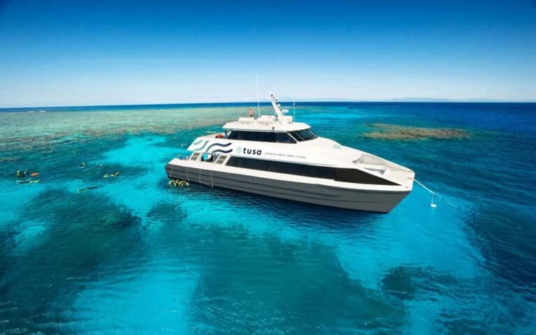 Cairns: Half-Day Outer Reef Snorkel Tour - Who Is This Tour Best For?