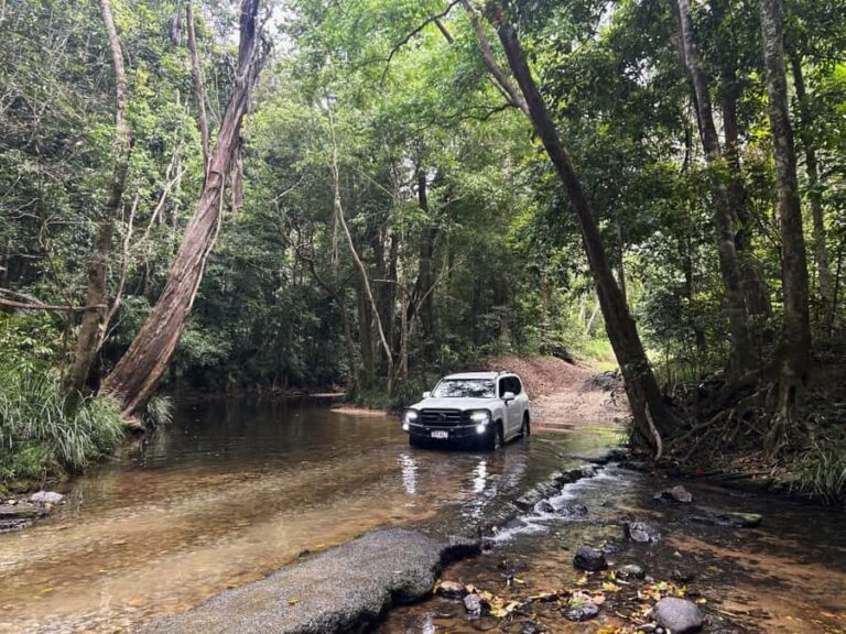 Cairns: Half-Day Premium 4WD Rainforest & Waterfall Tour - A Detailed Look at the Tour Experience