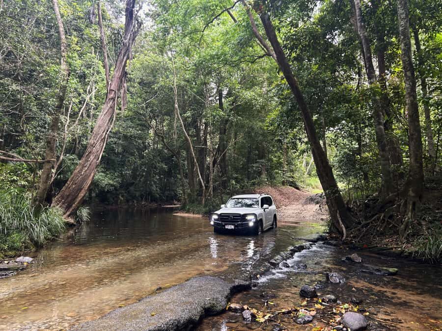 Cairns: Half-Day Premium 4WD Rainforest & Waterfall Tour - A Detailed Look at the Tour Experience