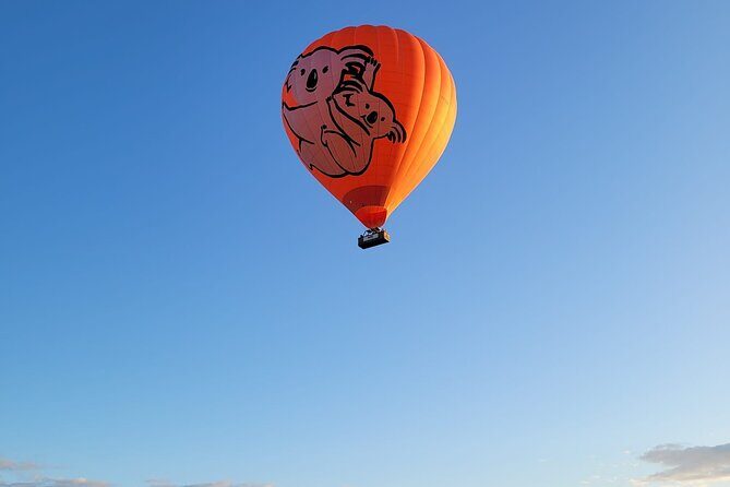 Cairns Hot Air Balloon Flight + Bad Fishy Jet Boating Cairns - Who Will Love This Tour?