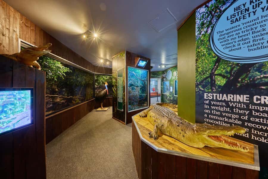 Cairns Koalas and Creatures Entry Ticket with Koala Photo - The Price and What You’re Getting