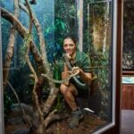 Cairns Koalas & Creatures at the Pier - The Experience: What You Can Expect