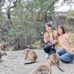 Cairns: Mareeba Wildlife and Coffee Tour - The Sum Up: Is It Worth It?