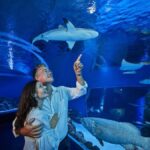 Cairns: Night at the Aquarium Guided Tour - Practical Considerations and Value