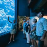 Cairns: Night at the Aquarium Guided Tour & 2 Course Dinner - Who Will Love This Tour?