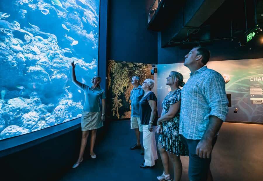 Cairns: Night at the Aquarium Guided Tour & 2 Course Dinner - Who Will Love This Tour?