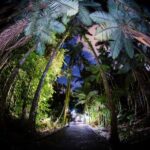 Cairns: Night Walk in Cairns Botanic Gardens - Who Will Love This Tour?