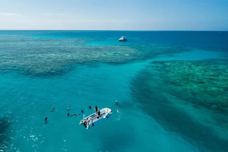 Cairns: Outer and Coral Cay Snorkel and Dive Cruise - In-Depth Look at the Itinerary