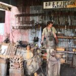 Cairns Paronella Park Herberton and Wild life Tour - The Experience and Logistics